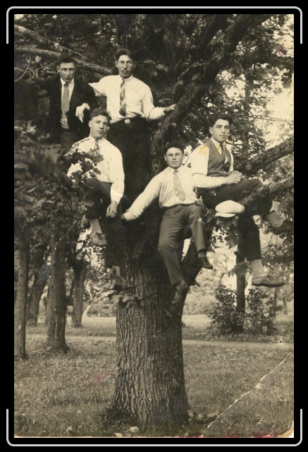 Click for the original image